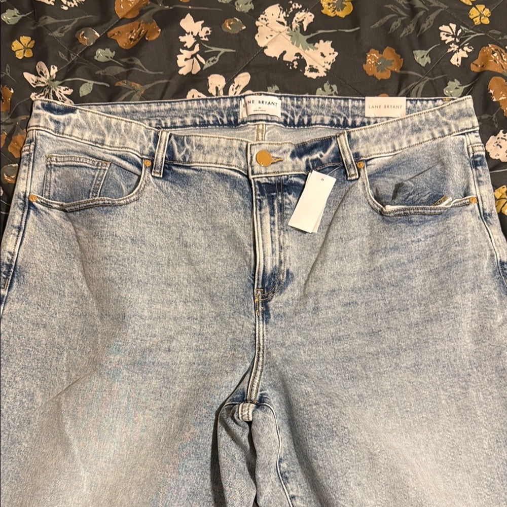Lane Bryant Women's Light Blue Jeans